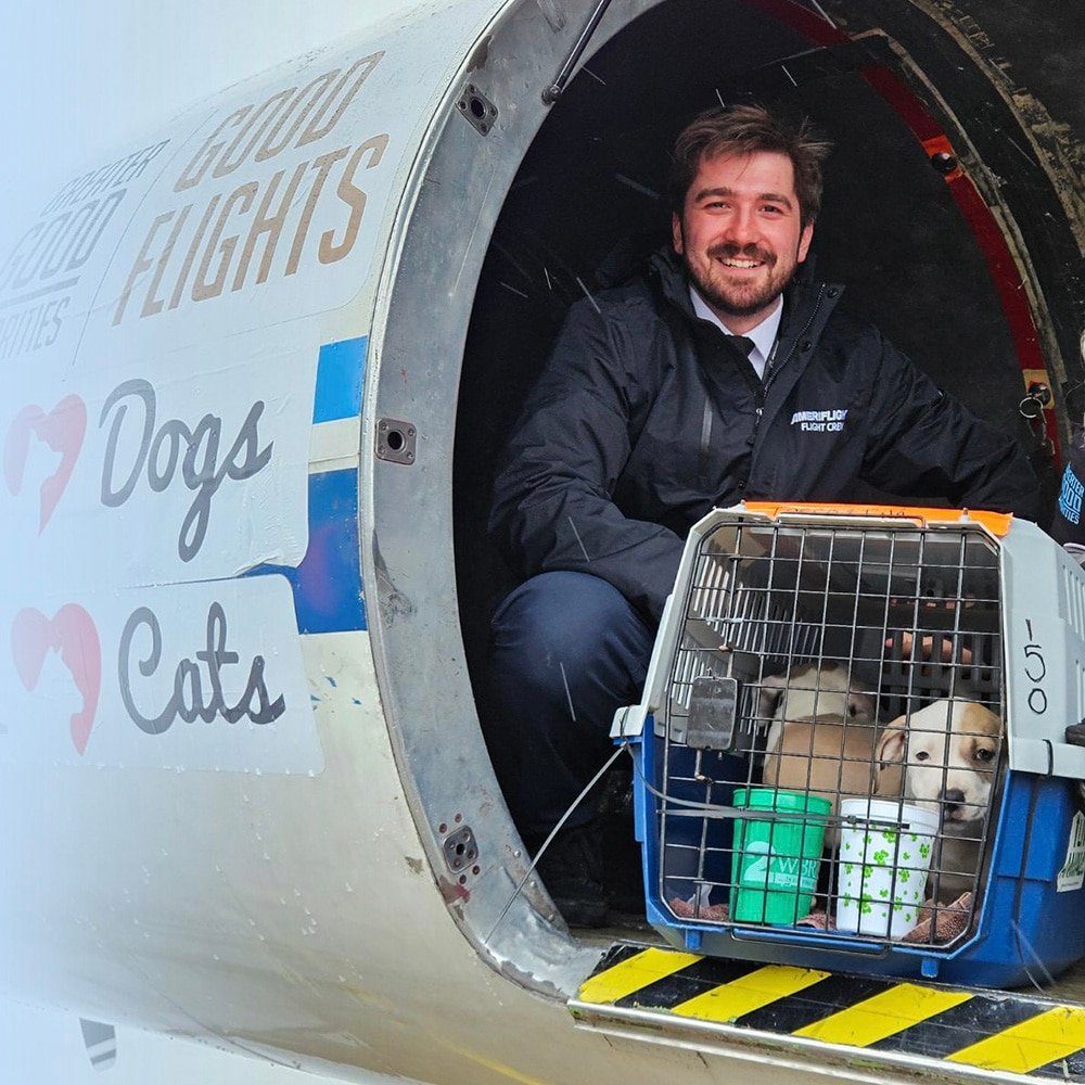 Animal Transportation